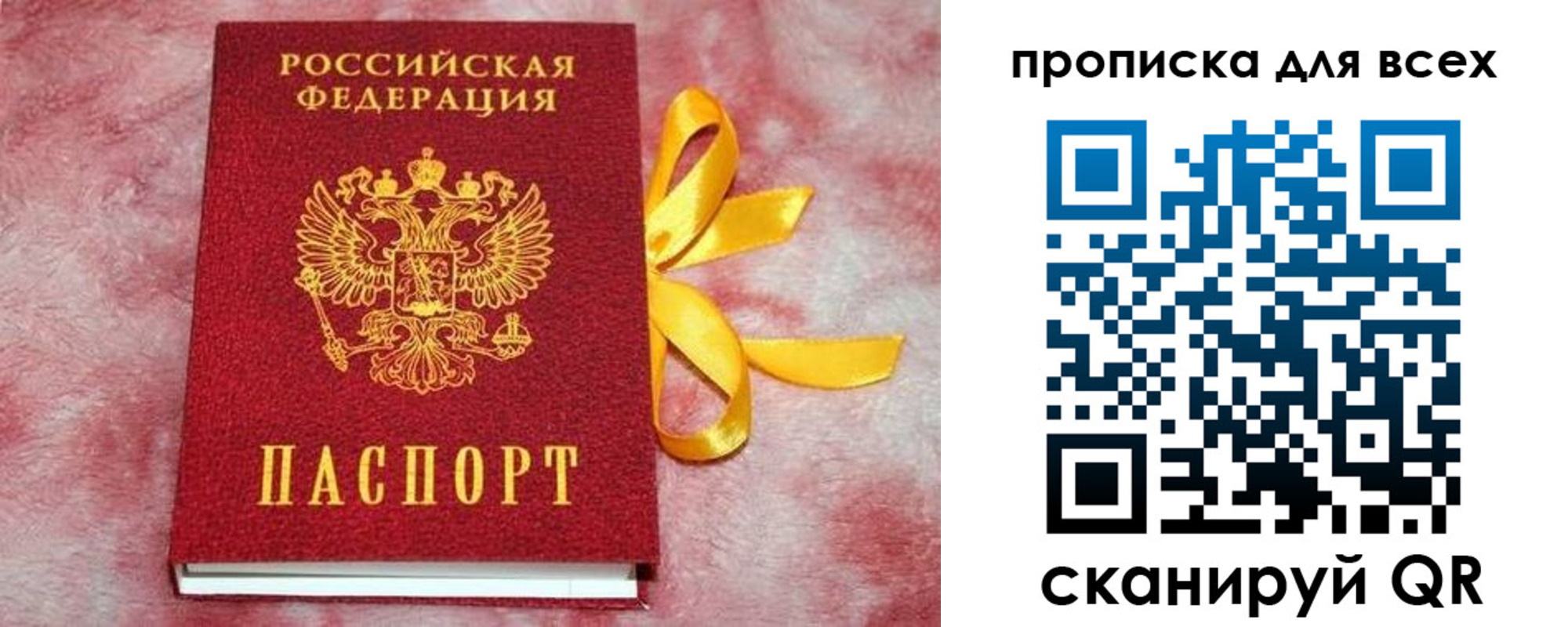 прописка для школы в Смоленской области